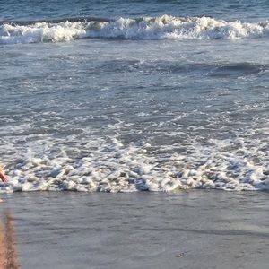 Meet your Posher, Viviana